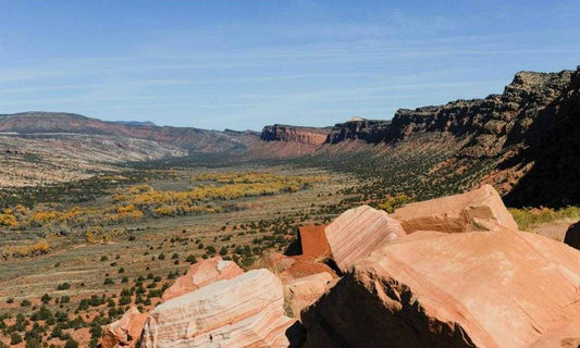 Trump Gives Back Millions Of Acres Of Public Lands