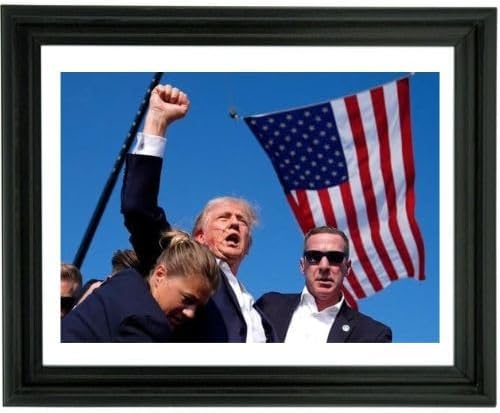 Framed Photo: Donald Trump Fight