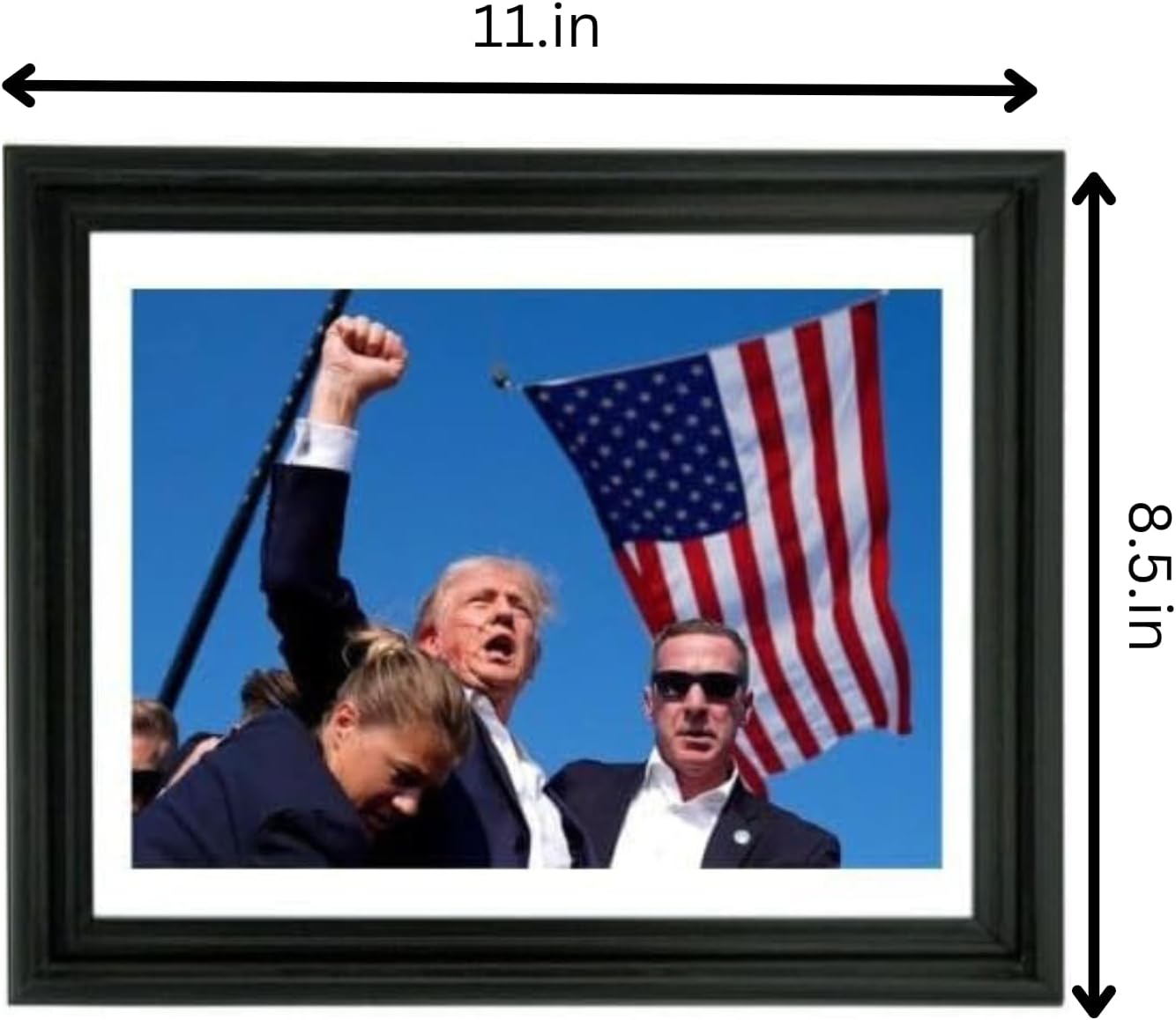 Framed Photo: Donald Trump Fight
