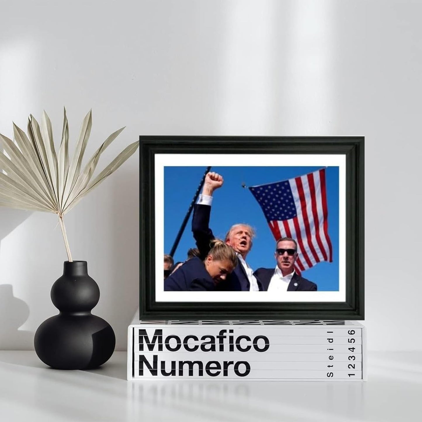 Framed Photo: Donald Trump Fight